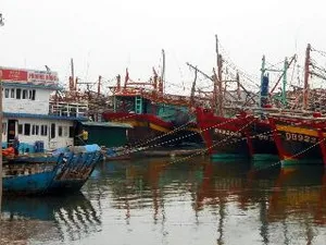 Kêu gọi hơn 61.000 tàu thuyền và trên 270.000 thuyền viên vào trú tránh bão số 11 an toàn