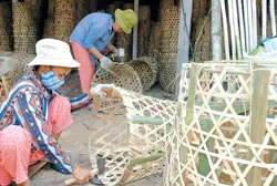 TPHCM dự kiến kết thúc sớm chương trình giảm nghèo, tăng hộ khá giai đoạn 3