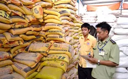 Quản lý chặt chẽ thị trường phân bón - Bài 2: Các giải pháp quản lý phân bón