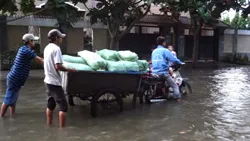 Triều cường tại vùng hạ lưu sông Đồng Nai