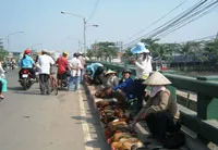 Gò Vấp đẩy mạnh kiểm tra, xử lý các điểm kinh doanh gia cầm sống trái phép