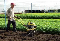 Nhân rộng nông thôn mới cần sự đồng thuận