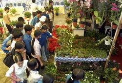 Ngày hội Hoa của đất năm 2013