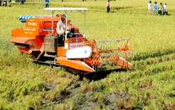 Các chương trình mục tiêu quốc gia đã làm thay đổi bộ mặt vùng nông thôn