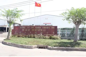 Bình luận: Vi phạm nghiêm trọng môi trường chính là tội ác