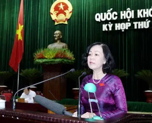 Bình luận: Đừng để Luật phải chờ Nghị định, Thông tư hướng dẫn