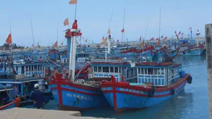 Khẩn trương kêu gọi tàu thuyền trên biển di chuyển ra khỏi vùng nguy hiểm