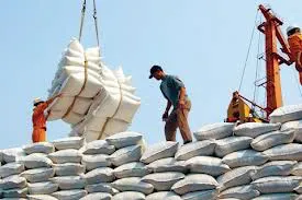 Dự kiến giảm khối lượng gạo xuất khẩu năm 2013