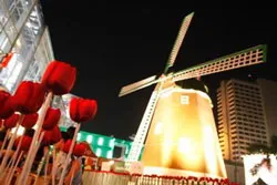 Chương trình Ngôi nhà Hà Lan tại TPHCM