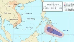 TPHCM đề nghị các đơn vị và chủ tàu thuyền theo dõi chặt chẽ áp thấp gần biển Đông