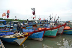 TP.HCM cấm tàu thuyền ra khơi hoạt động thủy sản từ 0 giờ ngày 14/11/2013
