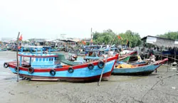 Thành phố chỉ đạo khẩn trương ứng phó với áp thấp nhiệt đới