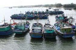 Tàu thuyền ở thành phố được hoạt động bình thường từ 18 giờ hôm nay 15/11