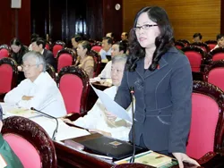 Quốc hội Thảo luận về dự án Luật Hải quan (sửa đổi)