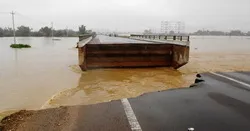 Thông xe cầu Bình Định