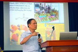Lãnh đạo thành phố tổ chức nhiều đoàn thăm nhà giáo tiêu biểu