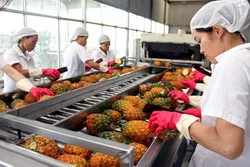 Doanh nghiệp Việt đặt niềm tin lớn vào thị trường Nhật Bản