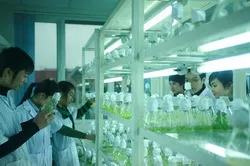 Công nghệ sinh học vì cuộc sống
