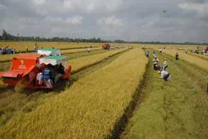 Hơn 20.000 hộ nông dân được vay vốn Quỹ hỗ trợ nông dân TPHCM