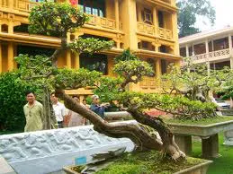 Kỷ niệm 10 năm diễn đàn cây cảnh Việt Nam