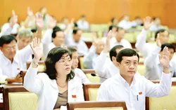 Kỳ họp thứ 12 HĐND TPHCM khóa 8: Thể hiện tinh thần trách nhiệm và tính chuyên nghiệp
