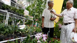 Hỗ trợ vốn phát triển nông nghiệp công nghệ cao