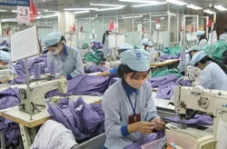 Hiệp định đối tác xuyên Thái Bình Dương và quá trình tham gia của Việt Nam