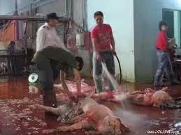 Đoàn kiểm tra liên ngành xử lý 2 vụ vi phạm giết mổ heo, gà trái phép