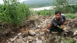 Thủy điện Đồng Nai: Được và mất