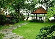 Du lịch vườn sinh thái ở Long Phước bắt đầu khởi sắc