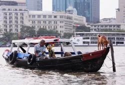 Độ mặn tăng nhanh ở các hệ thống sông rạch TP.HCM
