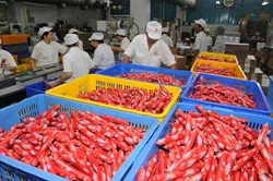 Đảm bảo ổn định thị trường thành phố dịp Tết Nguyên đán 2014