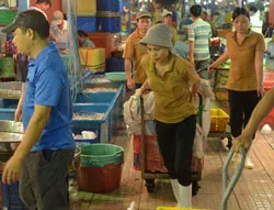 77 việc cấm lao động nữ: Lại thêm một quy định bất khả thi