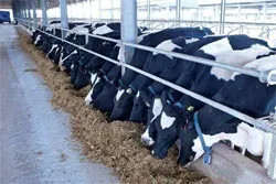Sagri phấn đấu giá trị sản xuất kinh doanh tăng 9,5% trong năm 2014