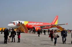 VietJetAir vận chuyển mai, đào dịp tết Giáp Ngọ