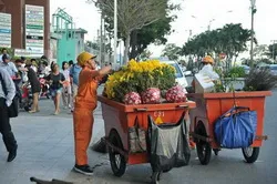 Triển khai kế hoạch thu gom rác Tết Giáp Ngọ