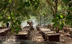 Những cựu binh trên trận tuyến mới