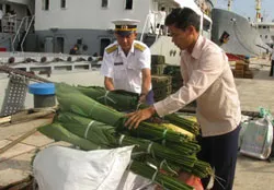 Mùa xuân biên giới trong trái tim người lính