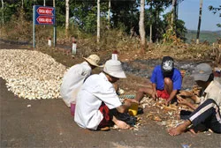 Người nhiễm HIV/AIDS lạc quan vui Tết
