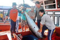 Festival Thủy sản Việt Nam năm 2014 tại Phú Yên