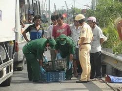 TPHCM tiếp tục phòng chống dịch bệnh và xây dựng cơ sở an toàn dịch bệnh động vật