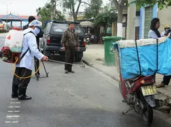 Thêm Cần Thơ và Vĩnh Long tái phát cúm gia cầm