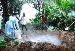 Từ đầu năm 2014 đến nay, đã tiêu huỷ gần 85.000 gia cầm trong các ổ dịch cúm H5N1
