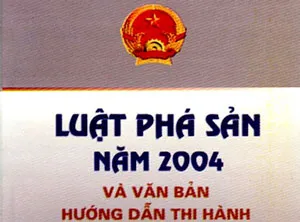 Đoàn Đại biểu Quốc hội TPHCM lấy ý kiến dự án Luật phá sản sửa đổi