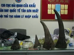 Phát hiện nhập lậu trái phép 13,1 ký sừng tê giác qua đường hàng không