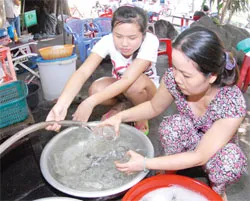 Năm 2015: 100% người dân tại Thủ Đức có nước sạch