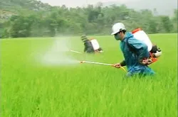 Mít-tinh hưởng ứng Tuần lễ Quốc gia về An toàn – Vệ sinh lao động lần thứ 16