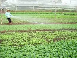 TP.HCM chung sức xây dựng nông thôn mới