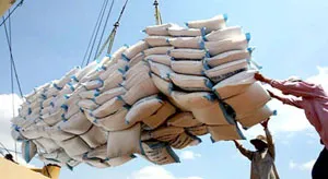 Bình luận: Đẩy nhanh tiến độ mua lúa trong dân - Vừa ích nước vừa lợi nhà
