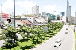 TP.HCM trồng thêm 1 triệu cây xanh